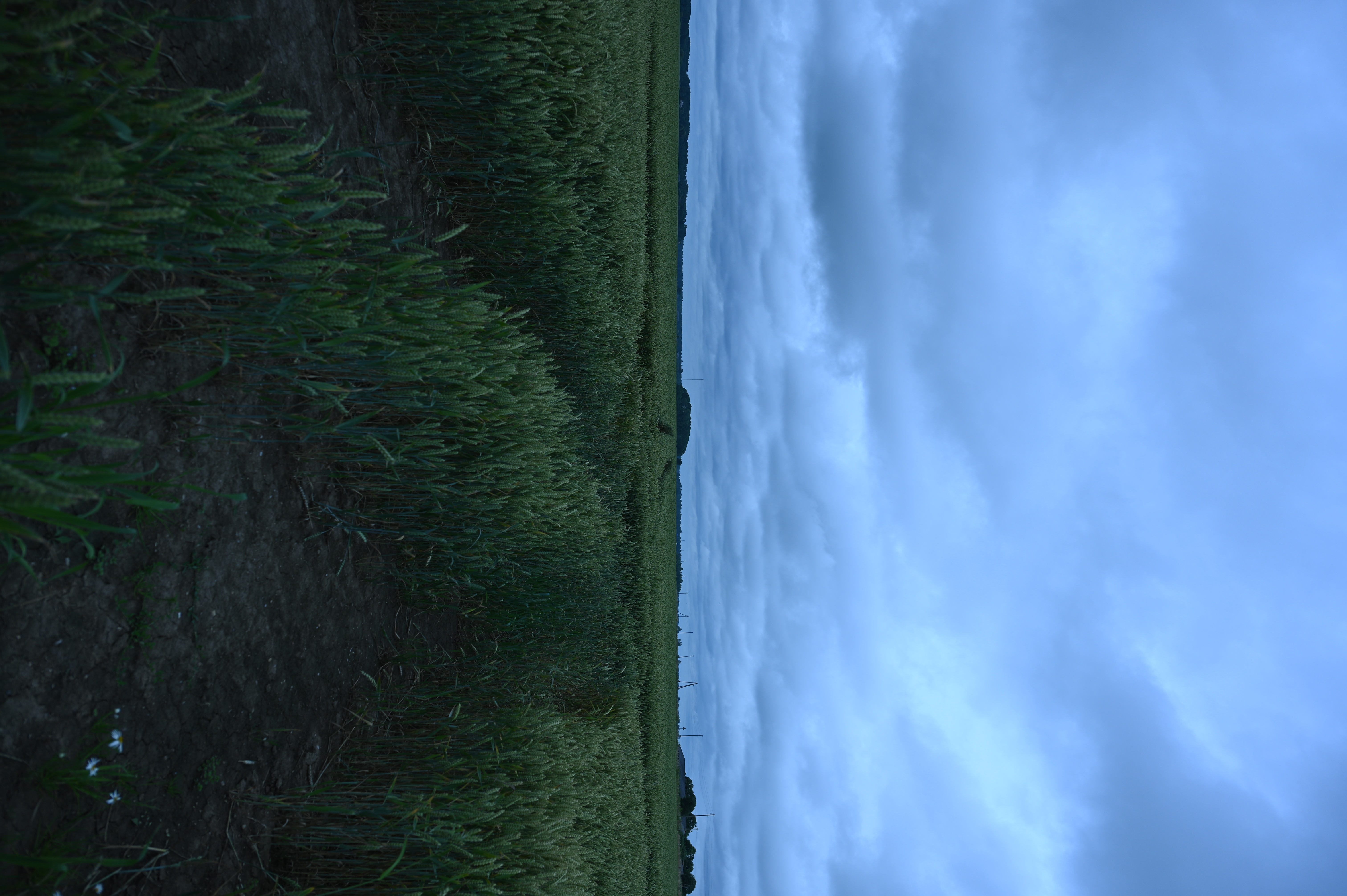 2025/07/09-14 - trip/DSC_0003.JPG